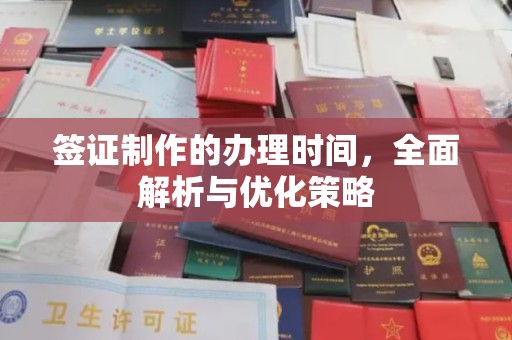 历下签证制作的办理时间，全面解析与优化策略